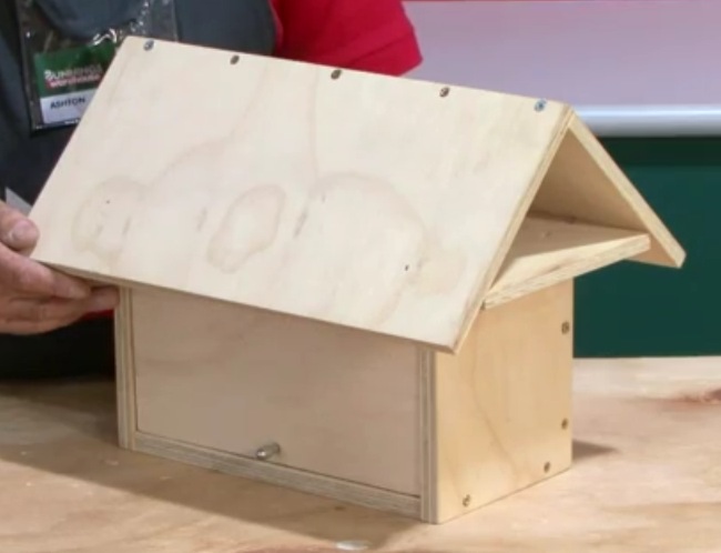 Sophia how to make a letterbox 